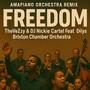 Freedom (Amapiano Orchestra Remix)