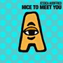 Nice to Meet You