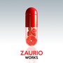 Zaurio Works