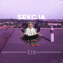 SEKCJA 3 6 (Explicit)