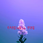 Farewell Fire