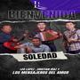 Bienvenida soledad