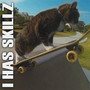 I HAS SKILLZ (Explicit)