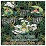 Roll It Up (feat. Jackie B., KNG & RJMT) [Explicit]