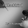 Blackbird