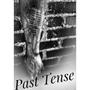 Past Tense (Explicit)