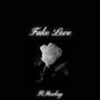 Fake Love (feat. Rocksy)