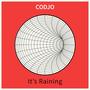 It's Raining (HIP AND CHILLOUT) (Radio Edit)