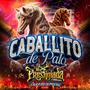 Caballito de Palo