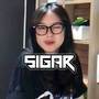 SIGAR