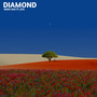 Diamond feat. NDIJIA