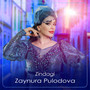 Zindagi