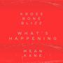 Whats Happening (feat. Kross Bone Blizz) [Explicit]