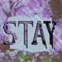 STAY