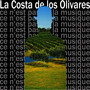 La Costa de los Olivares