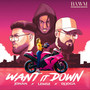 Want it down (Explicit)