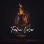 Fake Love (feat. Rocksy) [Explicit]