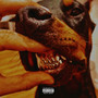 Wi$e