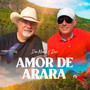 Amor de Arara