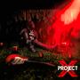 PROJECT X (Explicit)