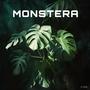 Monstera