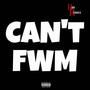 Cant FWM (Explicit)