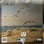 $eagull (Explicit)