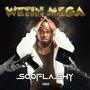 Wetin Mega