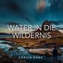 Water in Die Wildernis