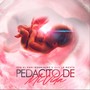 Pedacito de Mi Vida (feat. Jmp la Mente)