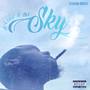 Head 2 Tha Sky (Explicit)