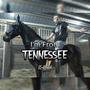 I'm From Tennessee (Explicit)