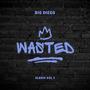 Wasted (Explicit)