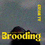 Brooding (feat. IGOFLEX Sterling) [Explicit]