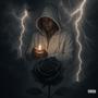 Black Rose (Explicit)