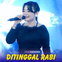 Ditinggal Rabi