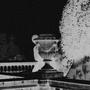 throwaway_runner
