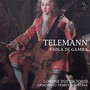 Telemann: Concerti, quadro, sonate con basso di viola solista