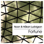 Fortune - Single