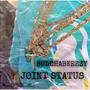 JOINT STATUS (Explicit)