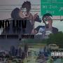 NO LUV (Explicit)