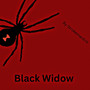 Black Widow