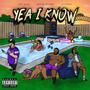 Yeah I Know (feat. ATM Danny & Bfb Da Packman) [Explicit]