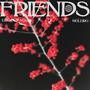 Friends (feat. Moleiro) [Radio Edit]