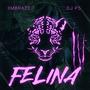 Felina (Explicit)