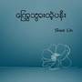 ကြွေသွားတဲ့ပန်း