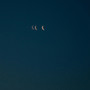Nocturne 4AM