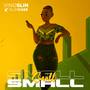 Small Small (feat. Slimcase) [Explicit]