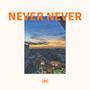 NEVER NEVER