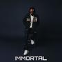 IMMORTAL C VERSION